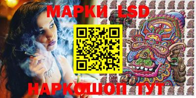 индика Усть-Илимск