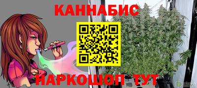 индика Усть-Илимск